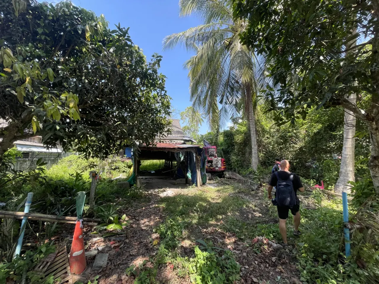 Plot with the old house and overgrown vegetation before work started