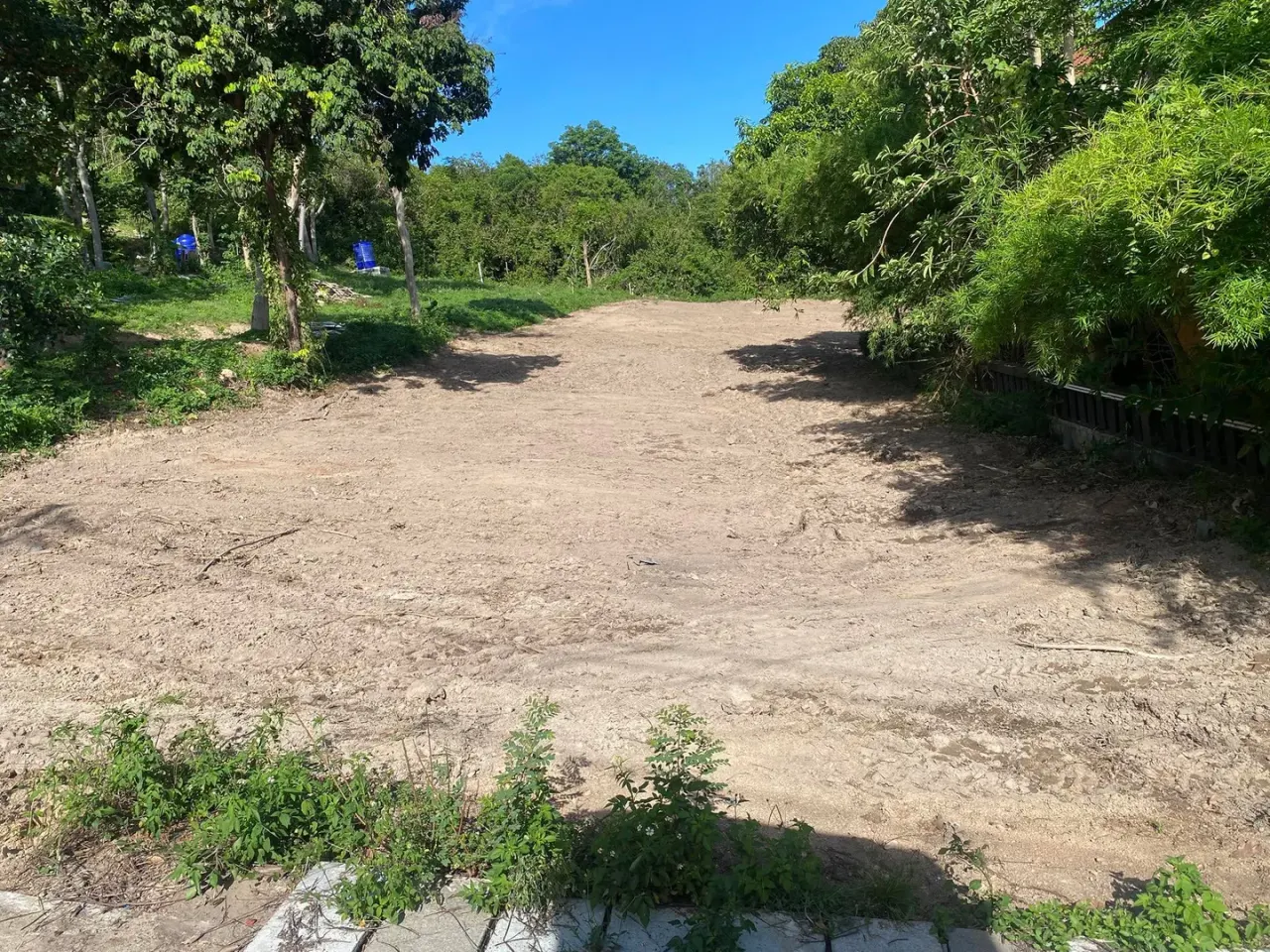 Same section cleared, stumps removed, ground exposed